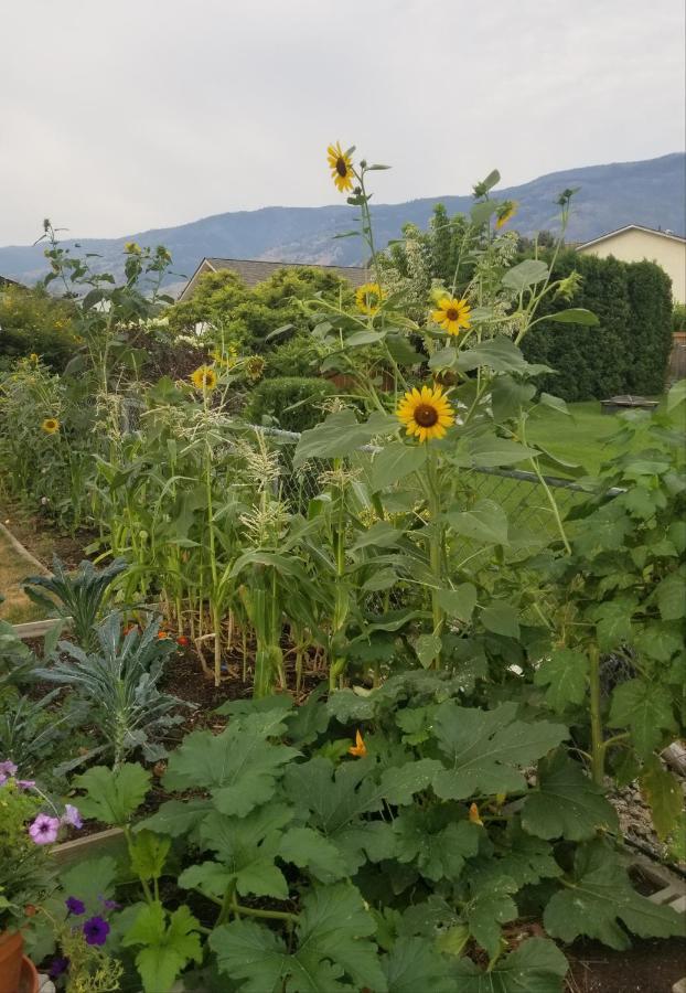 Global Village Permaculture Bnb 올리버 외부 사진